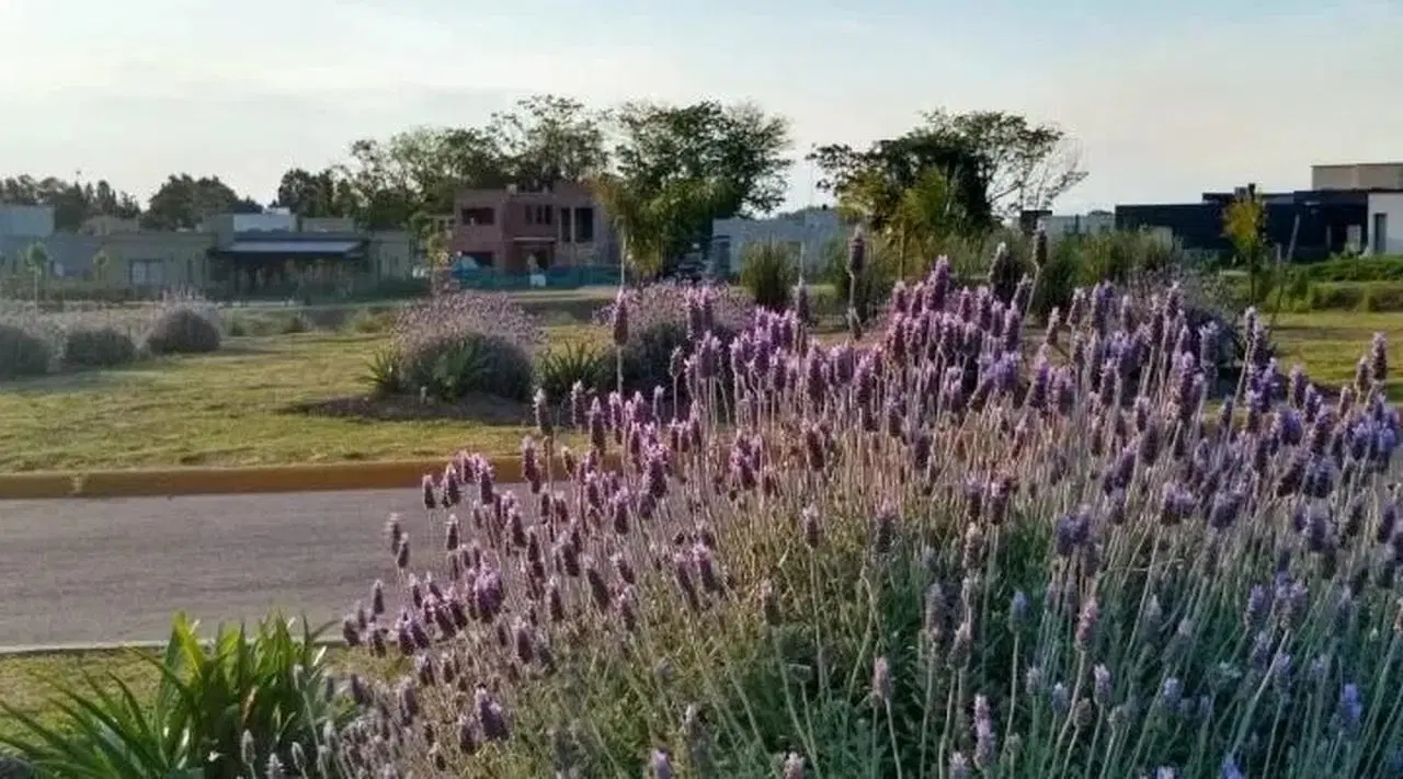 Lote en Pilar del Este 3