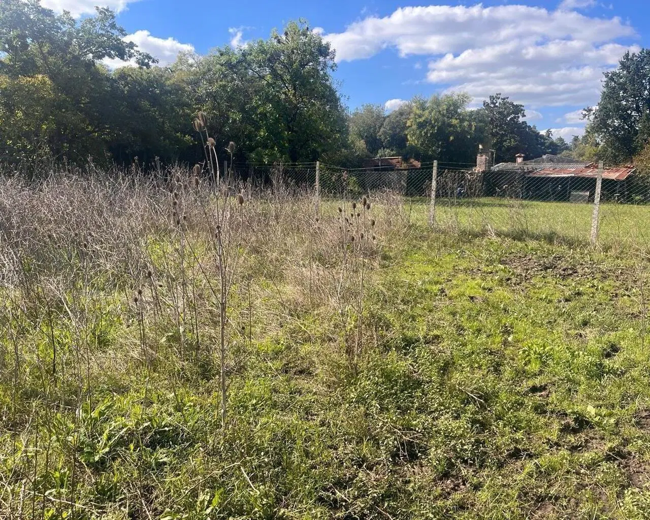Terreno en venta en Zelaya 5
