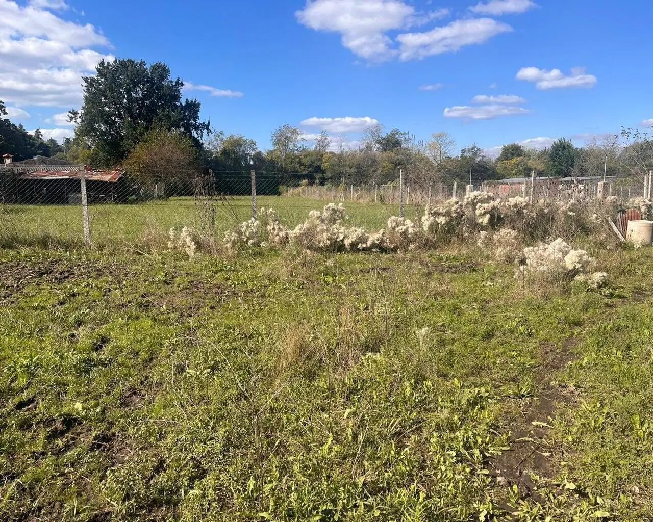 Terreno en venta en Zelaya 7