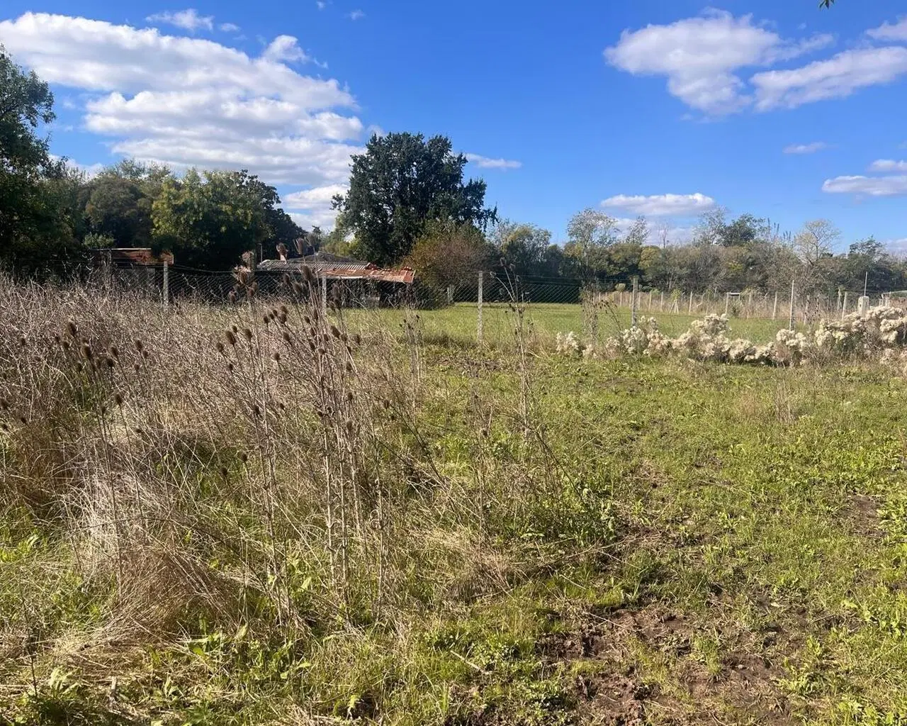 Terreno en venta en Zelaya 4