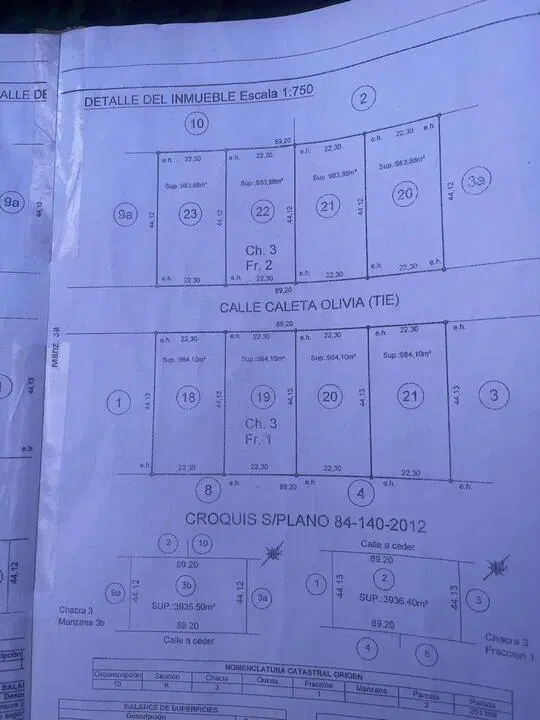 Plano 1