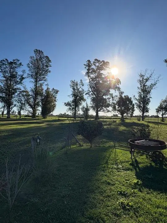 Lote en Tres Pinos Villa de Campo 4