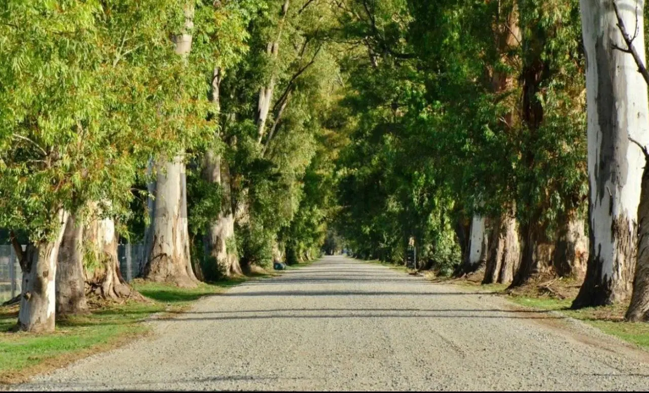 Lote en Tres Pinos Villa de Campo 3