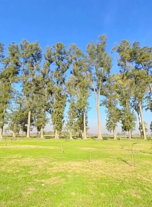 Tres Pinos Villa De Campo-Lote 8