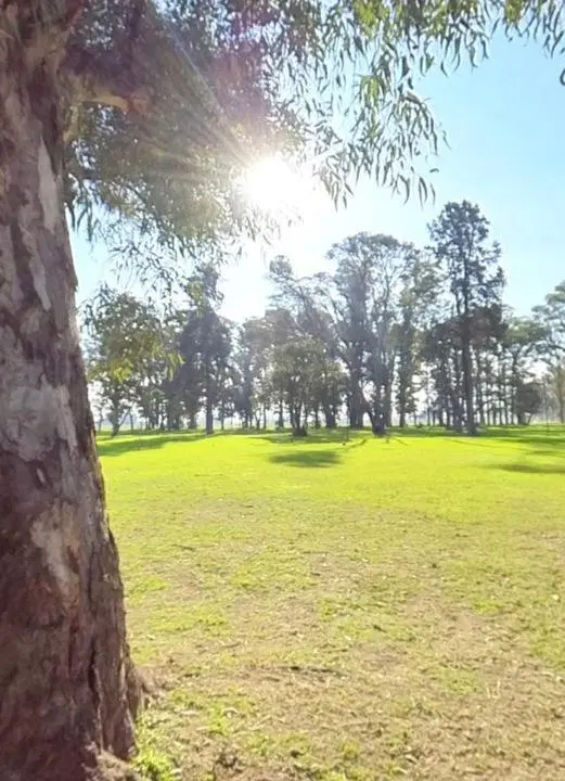 Tres Pinos Villa De Campo-Lote 4