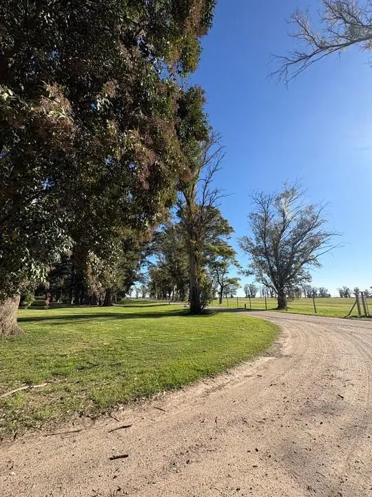 Lote-Tres Pinos Villa De Campo-Estribo 2