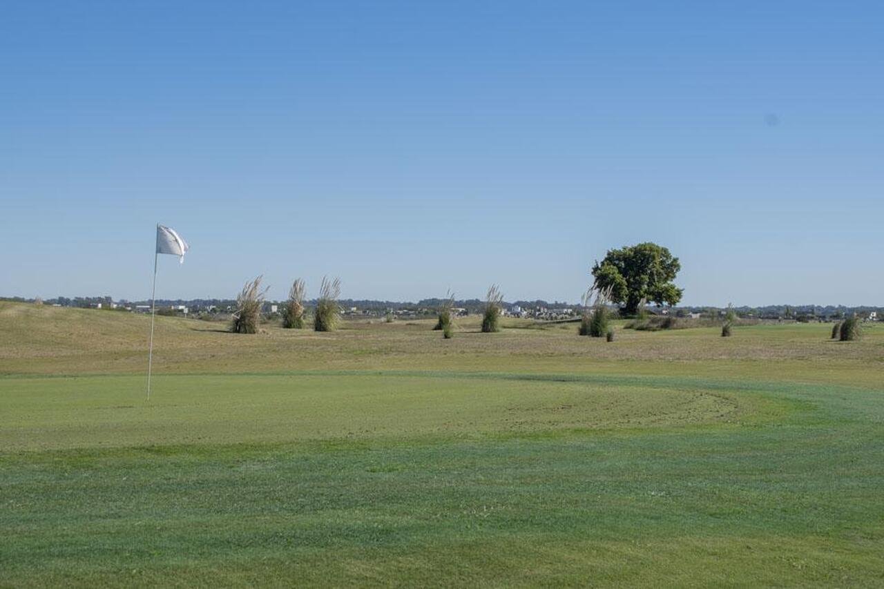 Foto de Venta Lote, San Sebastián, área 1, imagen 4