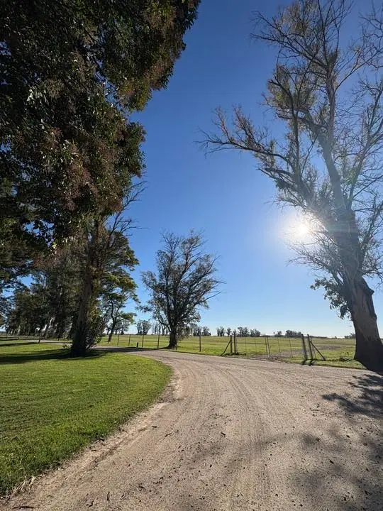 Venta de lote en Barrio Tres Pinos Villa de Campo-Estribo 4