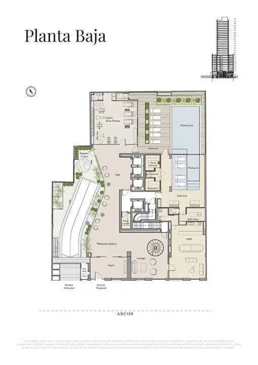Plano 6