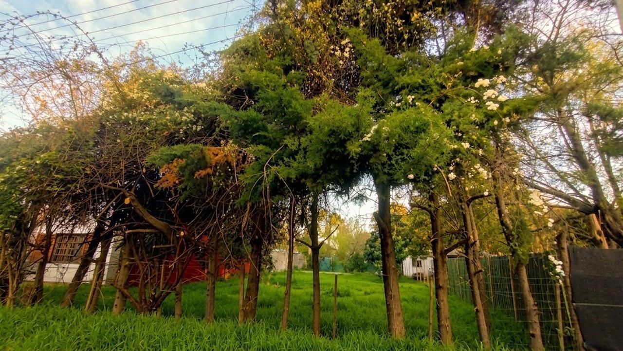 Foto de Lote con Pileta en Barrio El Cazador - Belén de Escobar - Luz y Agua, imagen 2