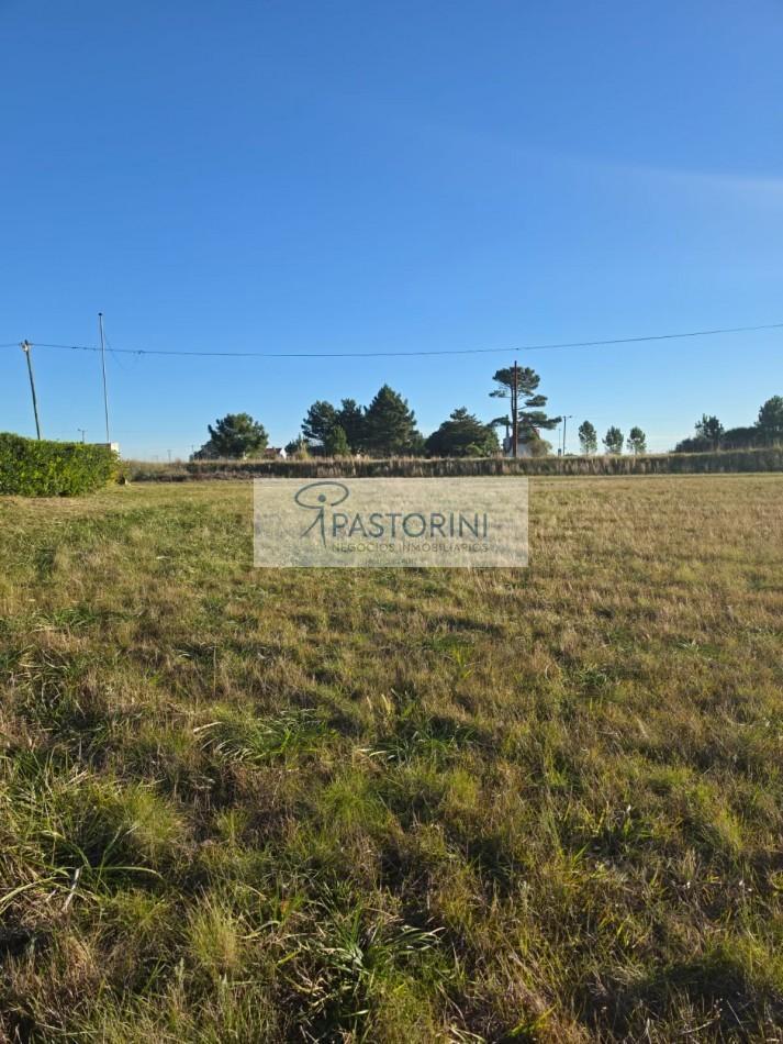 Foto de VENDEMOS LOTE en EL MARQUESADO, imagen 3