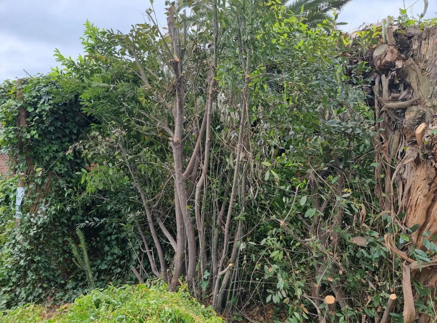 Terreno en  Venta de 10.25 x 33.30. Barrio Caisamar 2