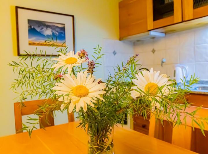 Departamento monoambiente amoblado a 1 cuadra del lago – Alquiler por 1 año 2
