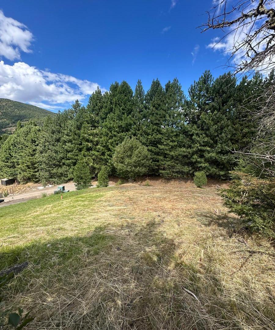 Terreno en El Peñon del Lolog