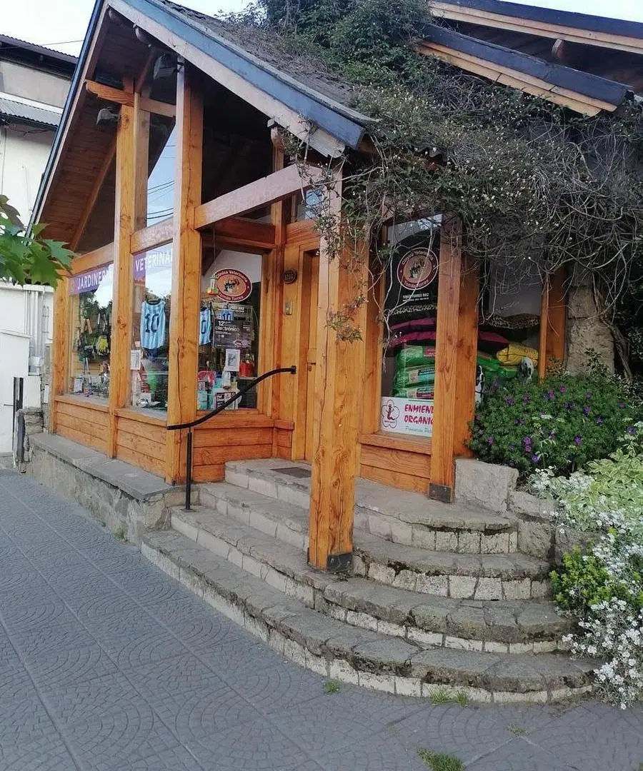 Local en San Martin De Los Andes 5
