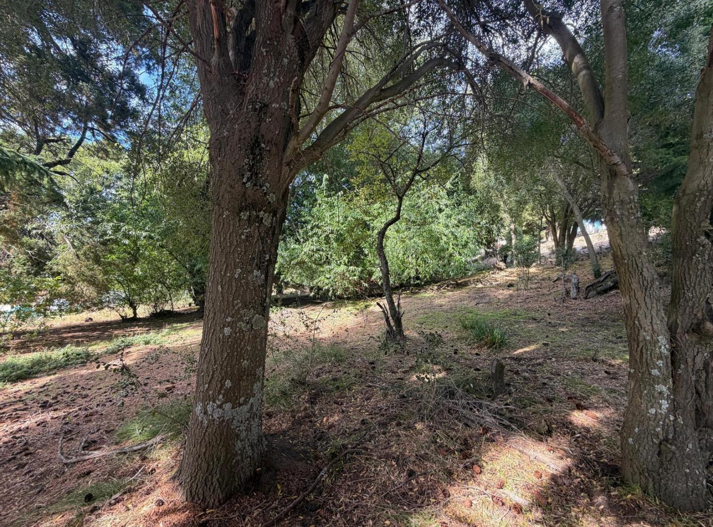 Foto de Terreno en Potrero Alto, imagen 4