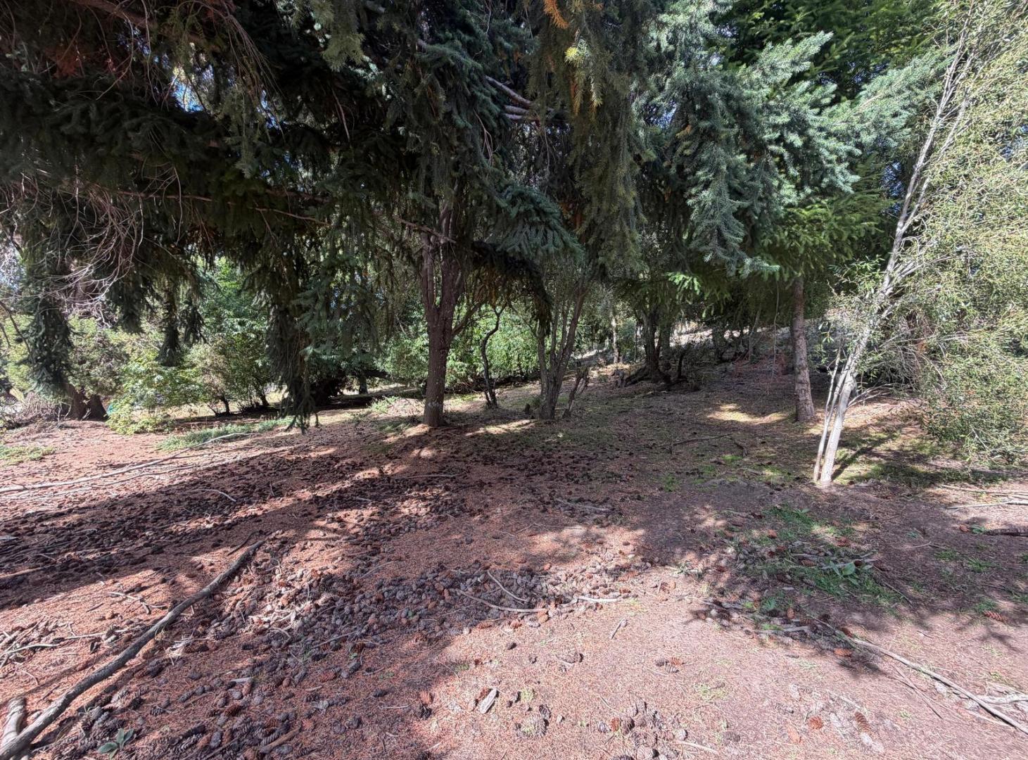 Foto de Terreno en Potrero Alto, imagen 2