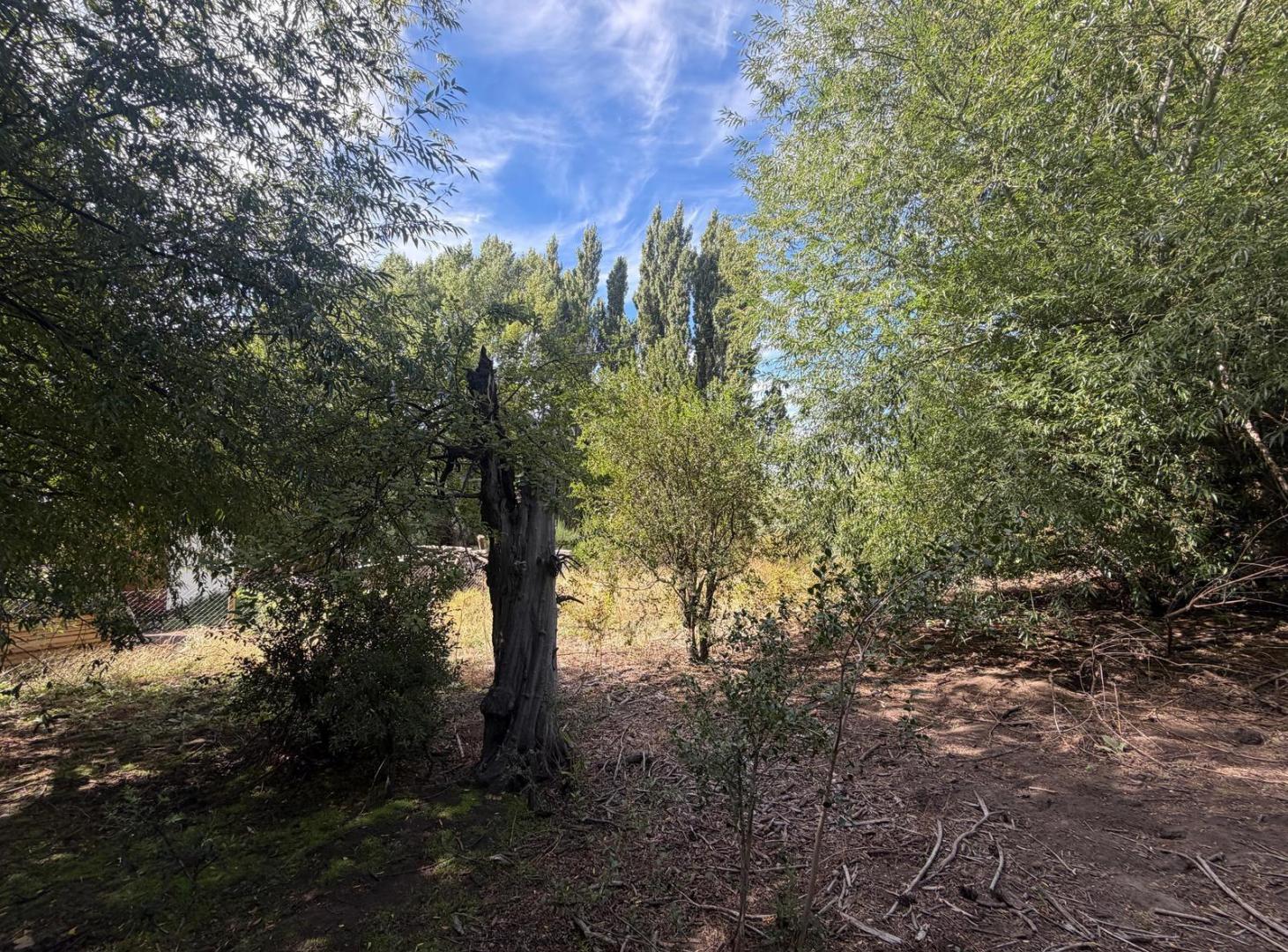 Foto de Terreno en Potrero Alto, imagen 1