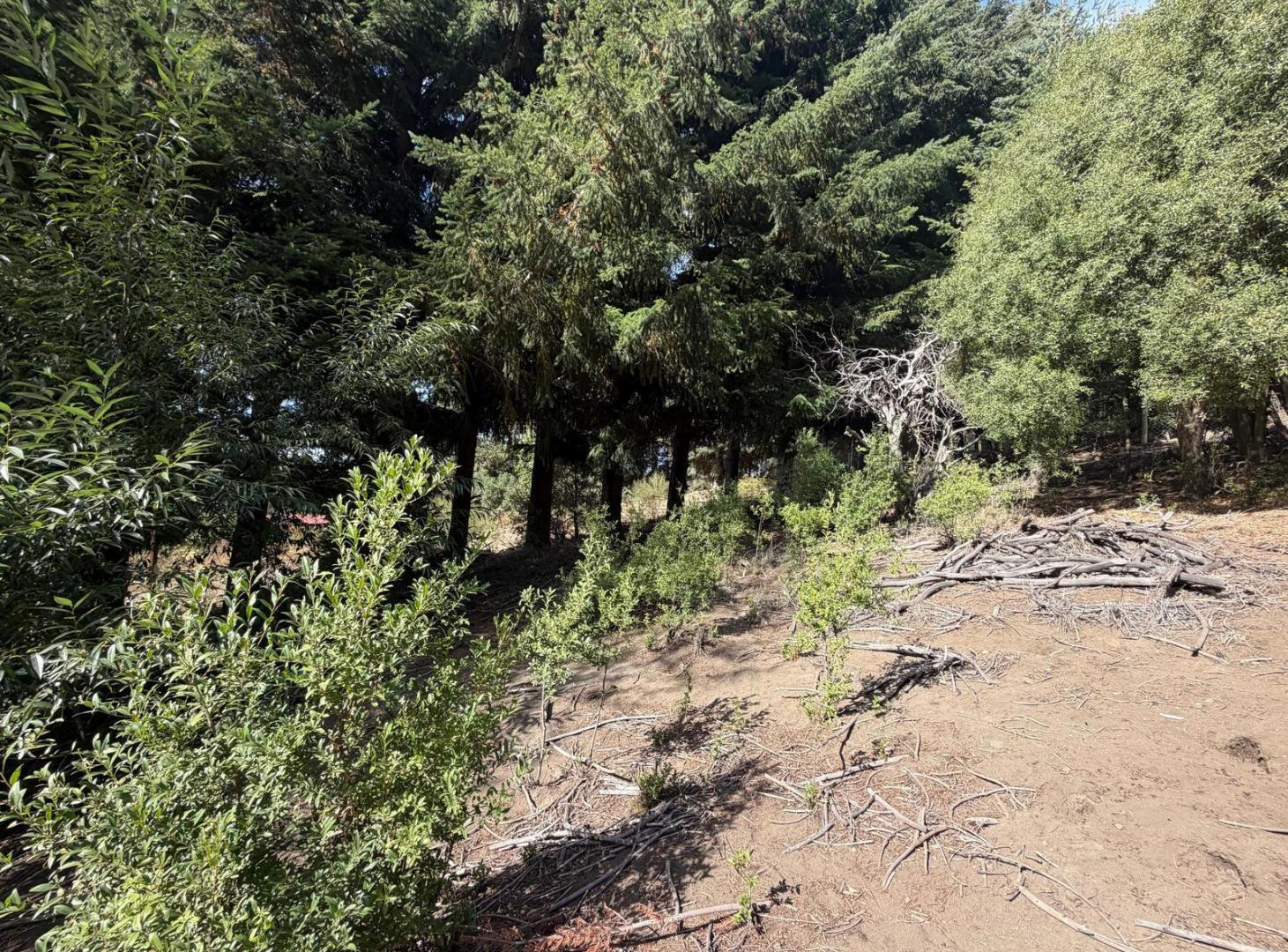 Foto de Terreno en Potrero Alto, imagen 5