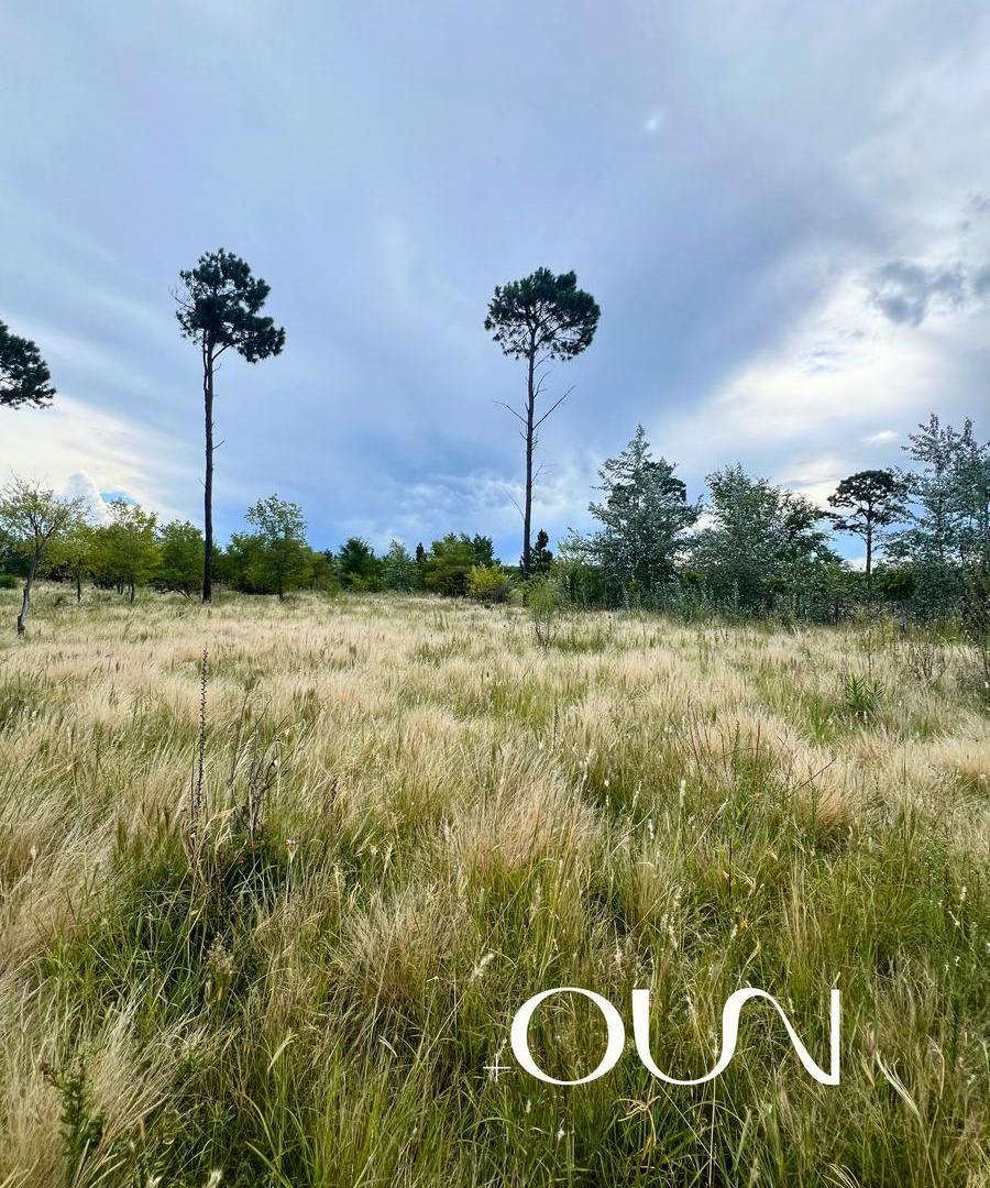 Foto de Terreno en Venta Cruz Chica La cumbre, imagen 5