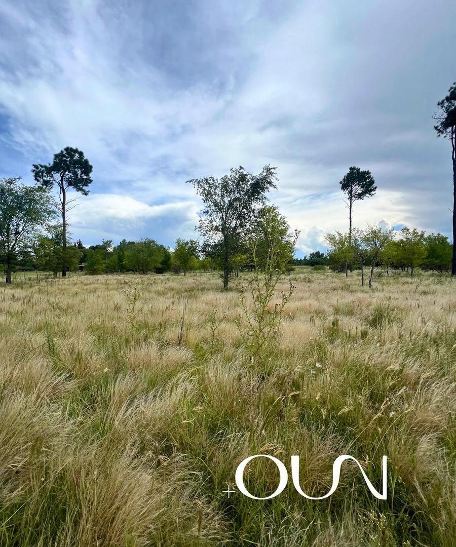 Foto de Terreno en Venta Cruz Chica La cumbre, imagen 3