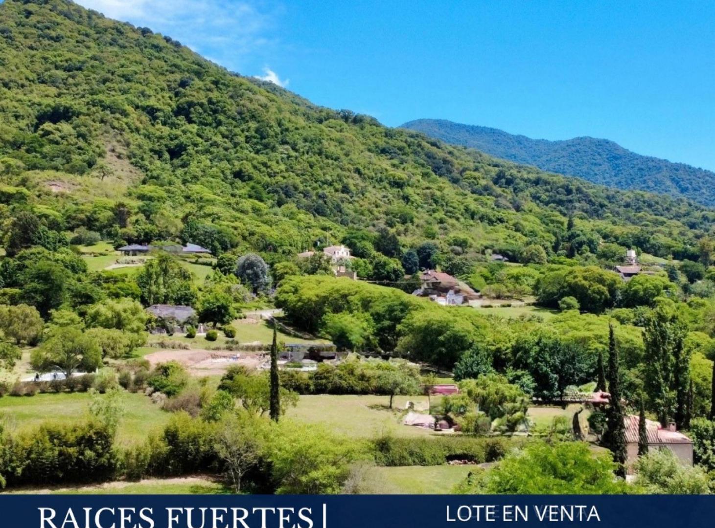 Terreno - Altos De San Lorenzo