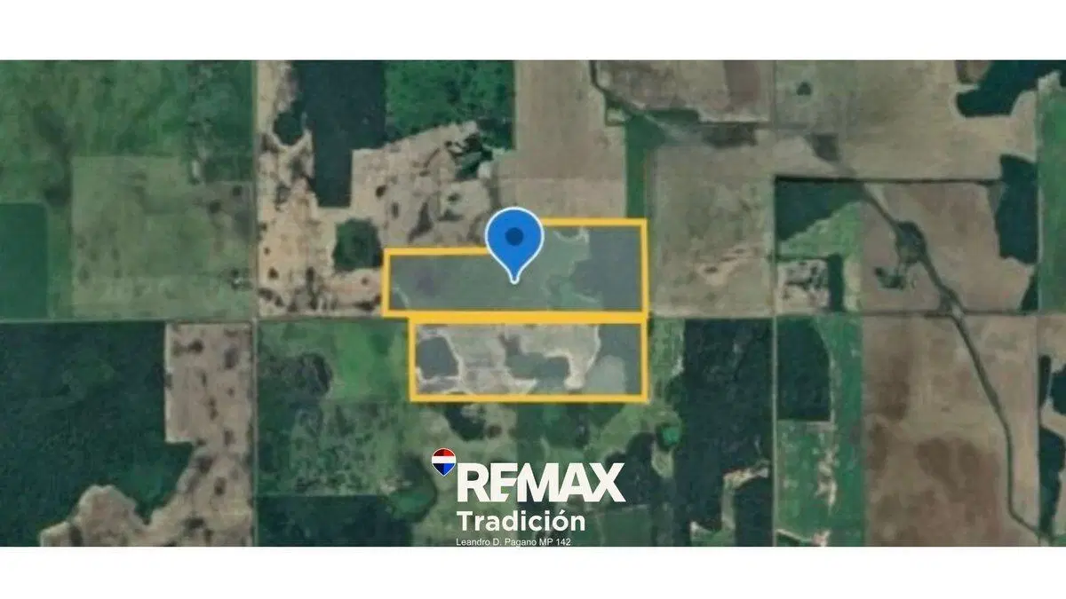 Campo 55 Has en venta – O’Higgins – Mixto 2