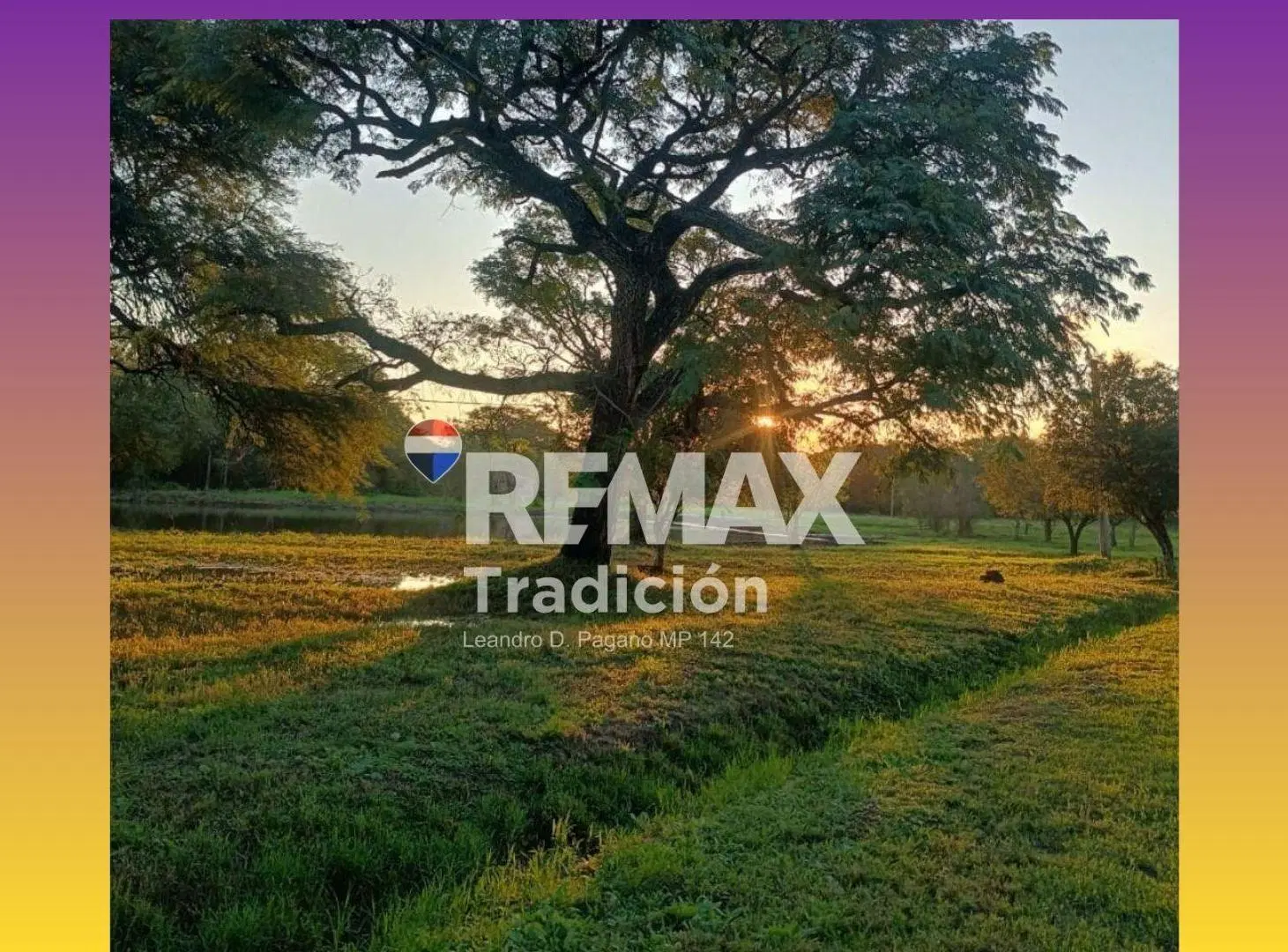Excelente terreno en Venta en Colonia Benitez 2