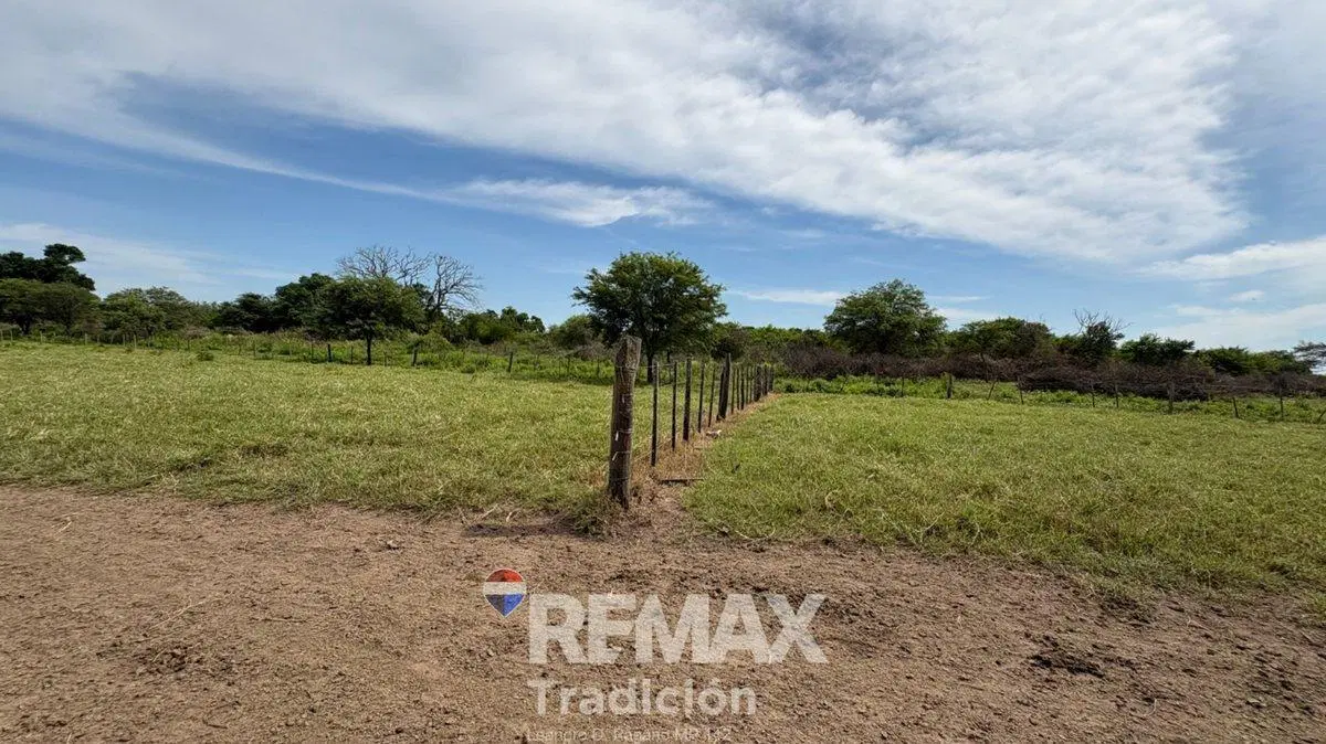 CAMPO 419 HAS - GANADERO-VENTA - COLONIA GUAYAIBI 5
