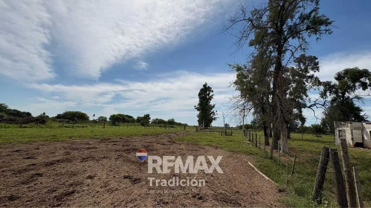 CAMPO 419 HAS - GANADERO-VENTA - COLONIA GUAYAIBI 4