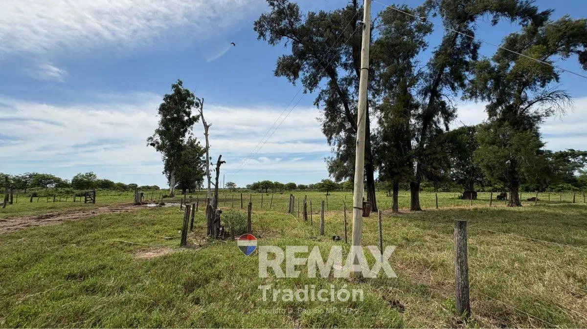 CAMPO 419 HAS - GANADERO-VENTA - COLONIA GUAYAIBI 2