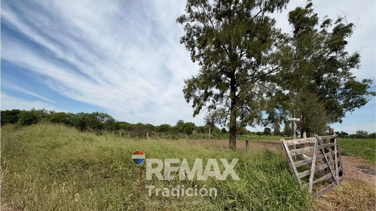CAMPO 419 HAS - GANADERO-VENTA - COLONIA GUAYAIBI 3