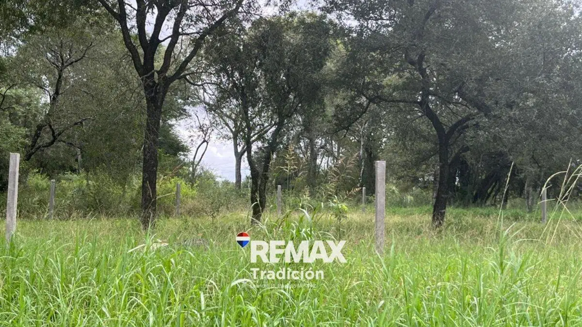 OPORTUNIDAD! LOTE/S en RUTA INGRESO COL. BENITEZ 3