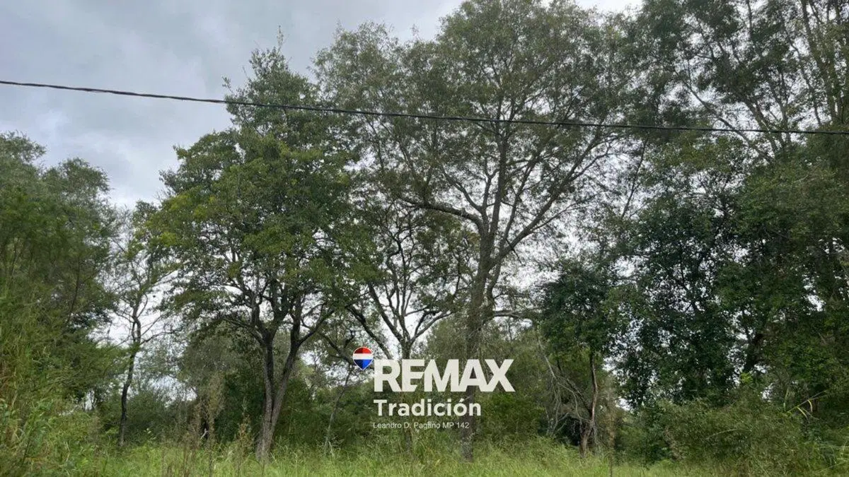 OPORTUNIDAD! LOTE/S en RUTA INGRESO COL. BENITEZ 5