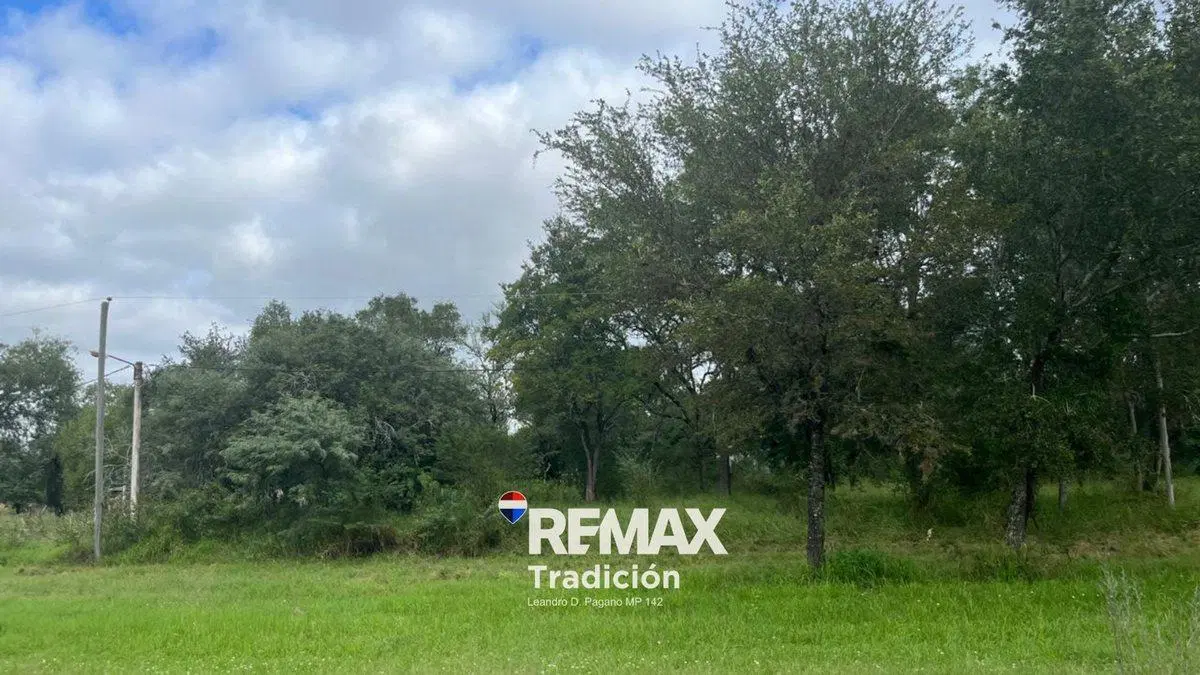 OPORTUNIDAD! LOTE/S en RUTA INGRESO COL. BENITEZ 4