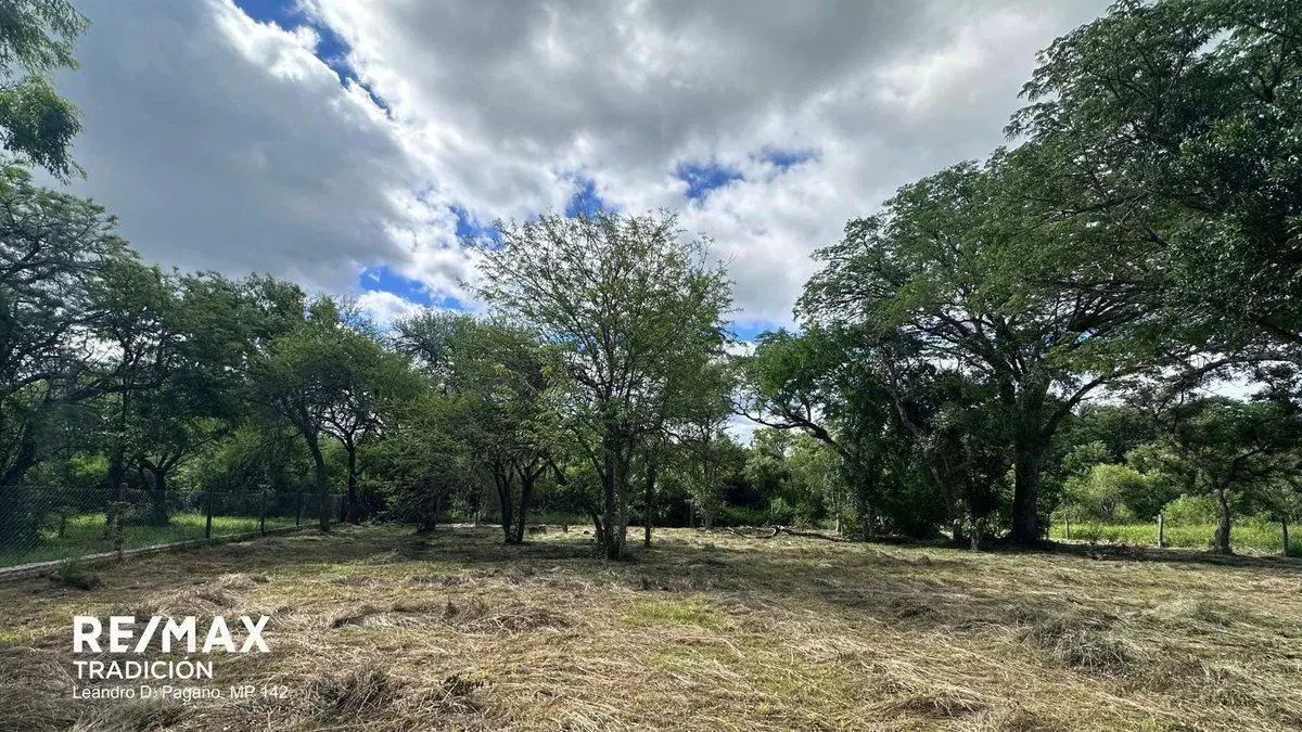 TERRENO EN VENTA - COLONIA BENITEZ 5