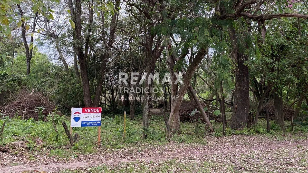 TERRENO - EN VENTA - COLONIA BENITEZ - 1 HECTAREA 2