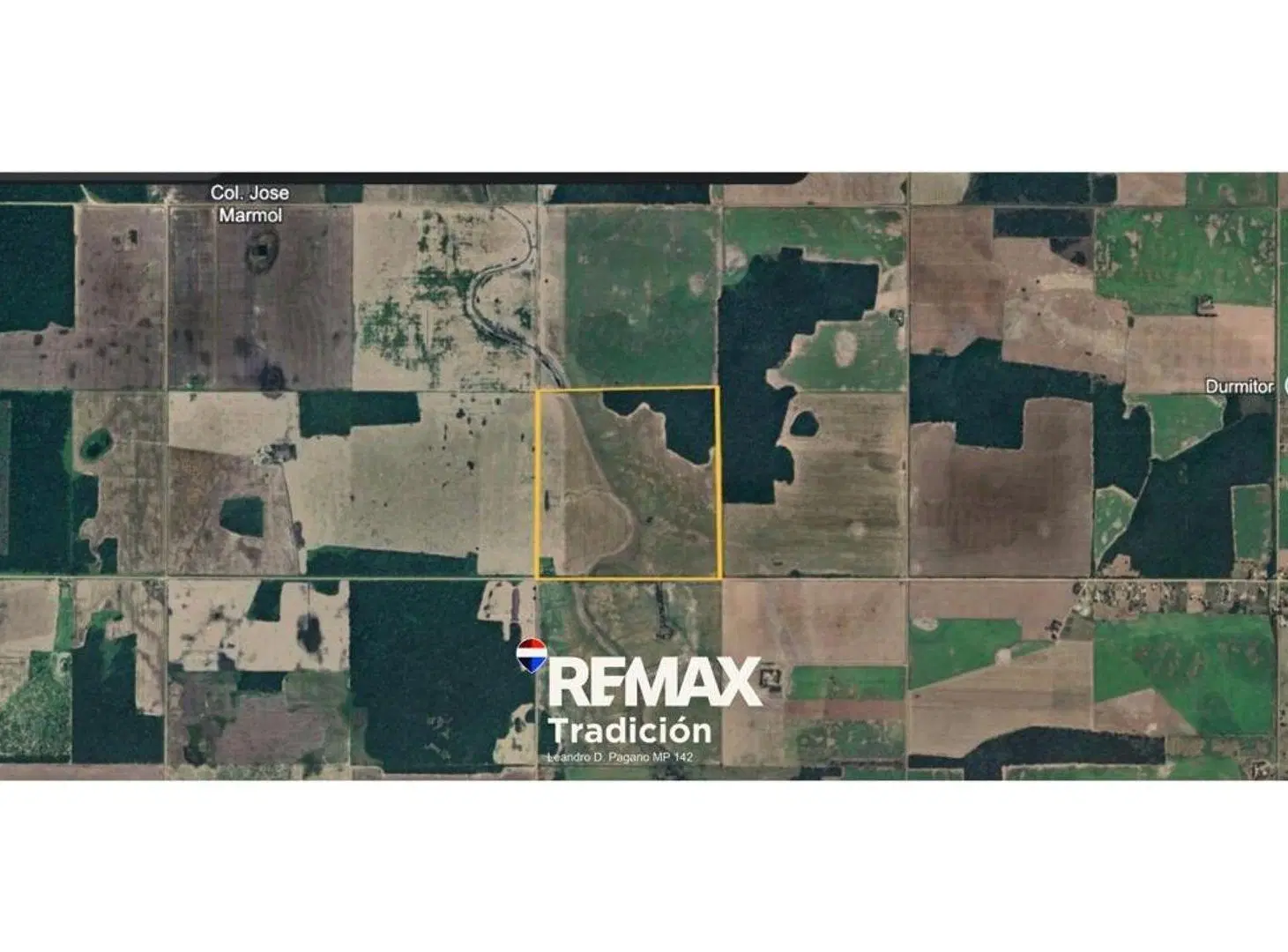 Campo 100 Has en venta – La Montenegrina – Ruta 20 3