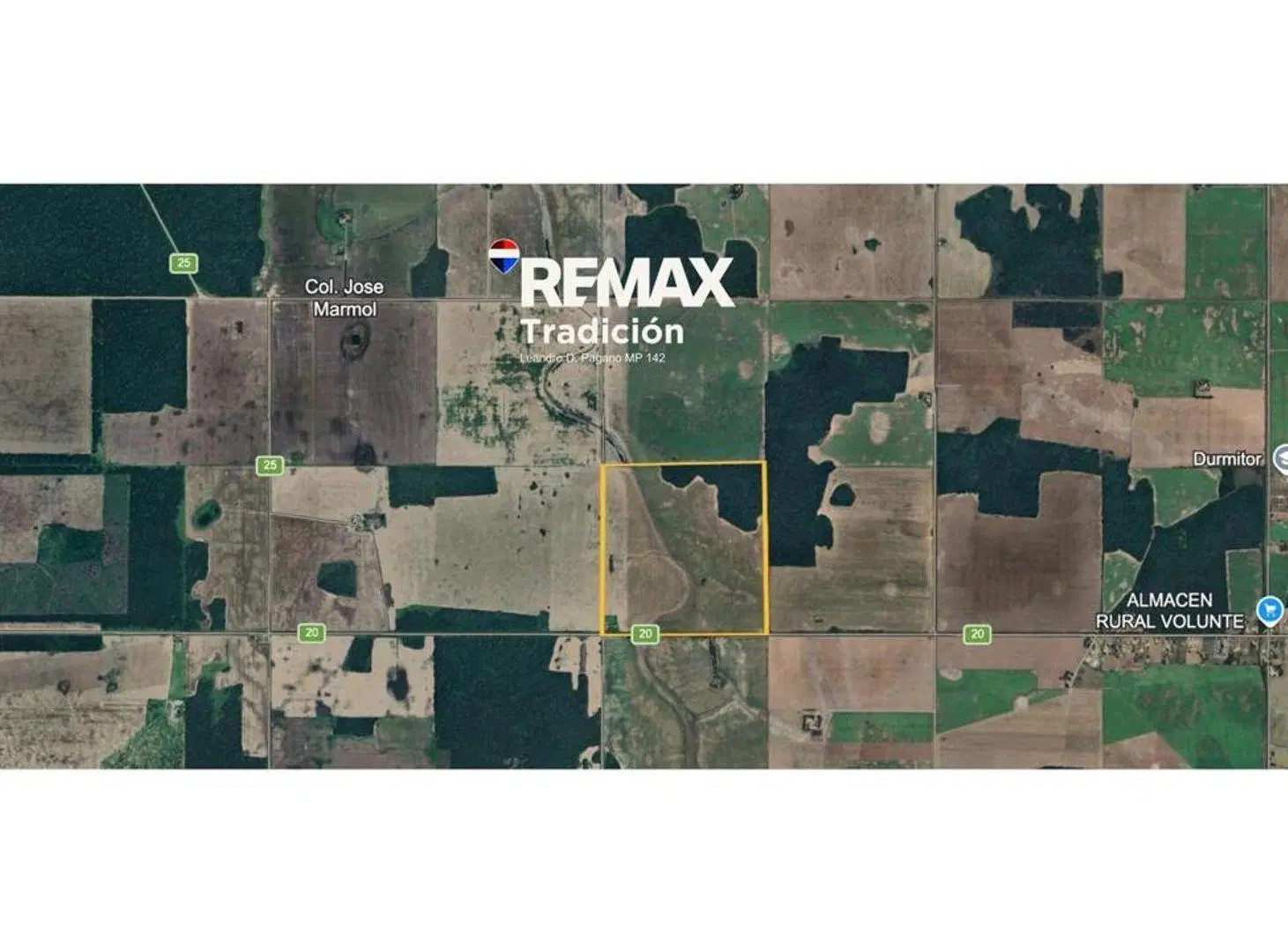 Campo 100 Has en venta – La Montenegrina – Ruta 20 4