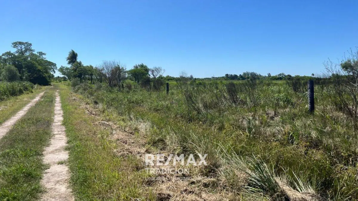 VENTA 3 ha  Colonia Benítez 5