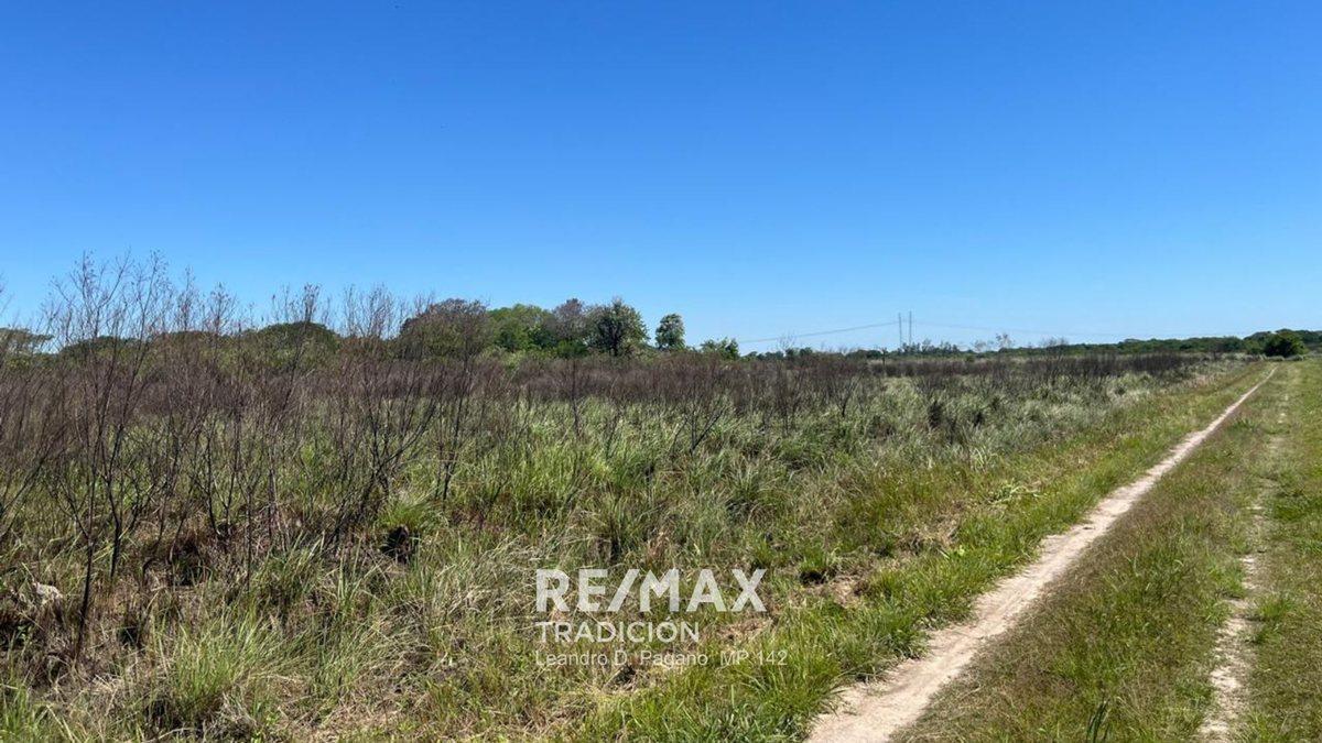 VENTA 3 ha Colonia Benítez