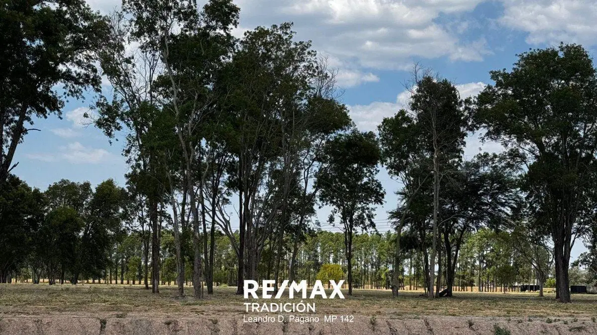 Venta Terreno "Barrio LOS PINOS" Colonia Benítez 4