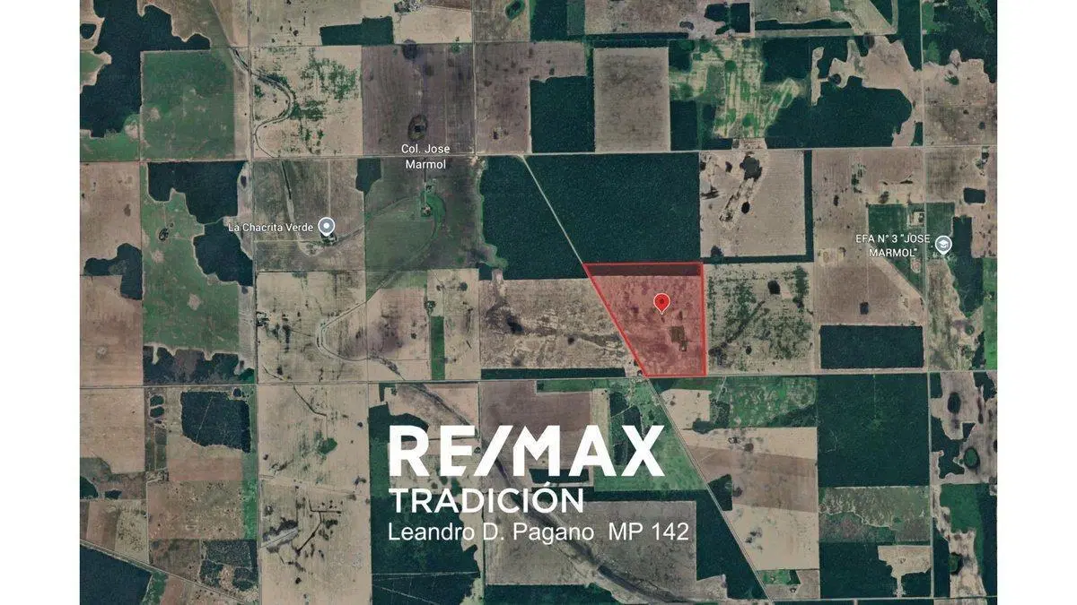 Campo en Venta – 77has Colonia José Mármol 4