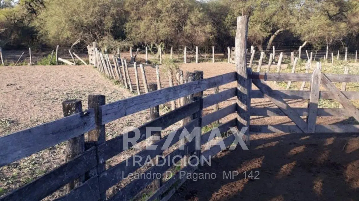Campo Ganadero en Venta en Dpto Tapenaga 2