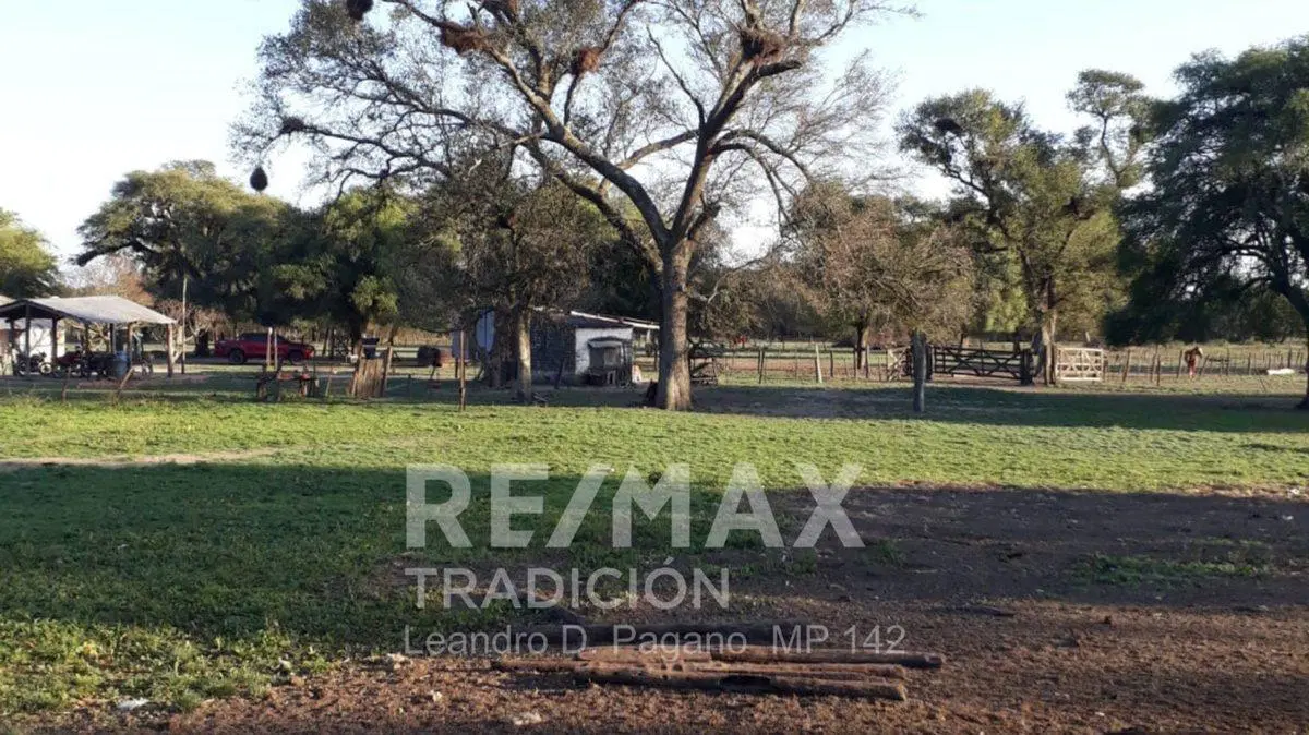 Campo Ganadero en Venta en Dpto Tapenaga 3