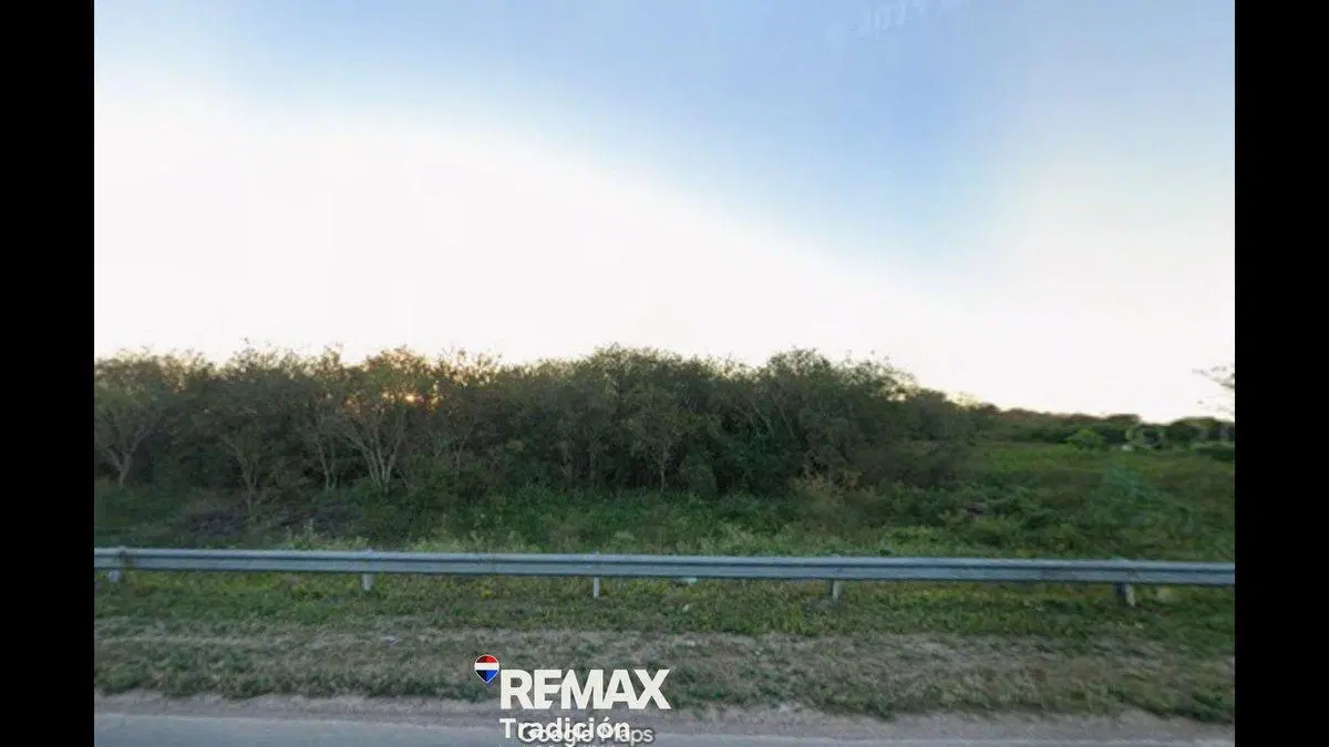 campo 600 has en venta sobre Ruta 95 J.J. Castelli 3