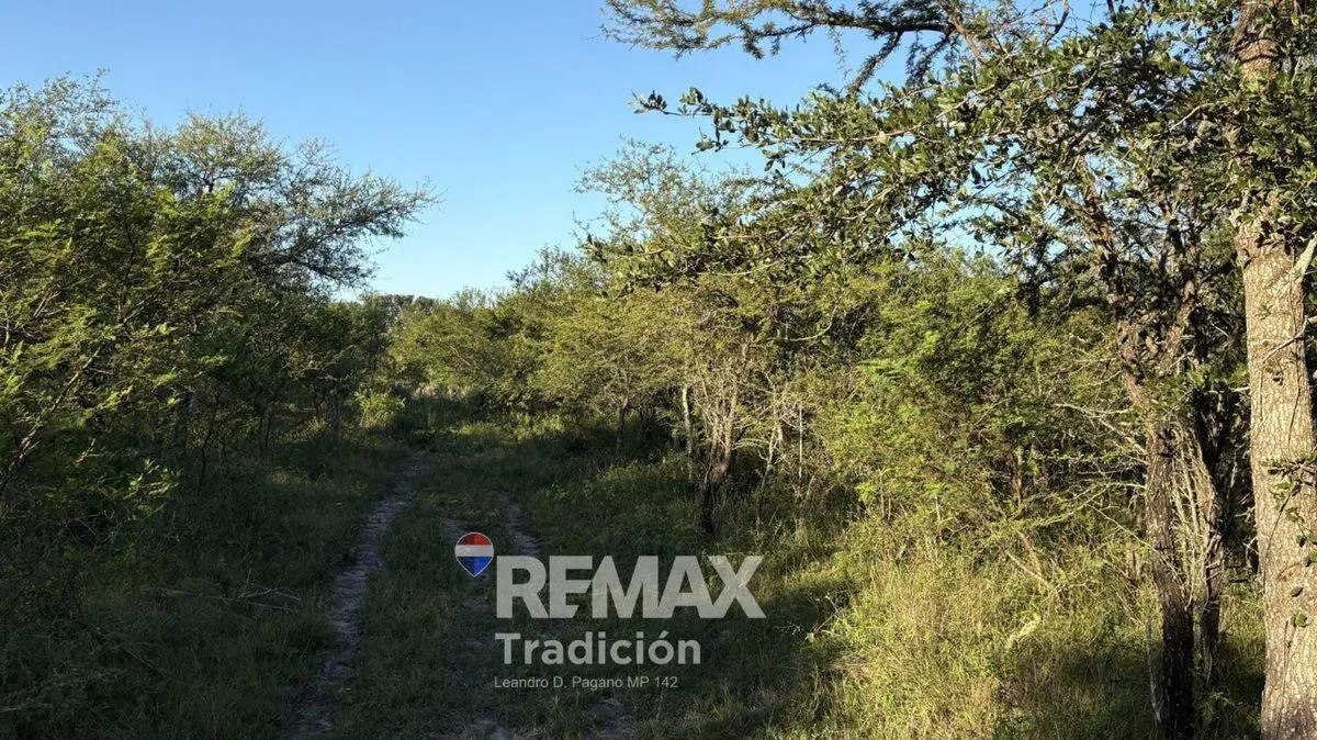 Terreno de 5 has en Venta - Puerto Tirol 4