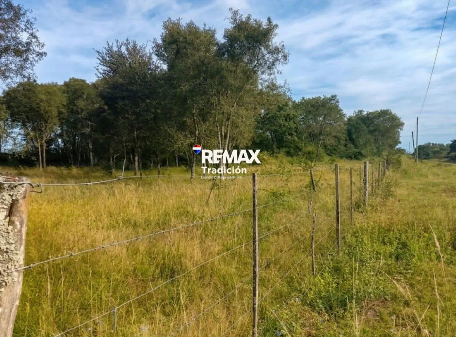 VENTA TERRENO 12.600 M2 COLONIA BENITEZ 3