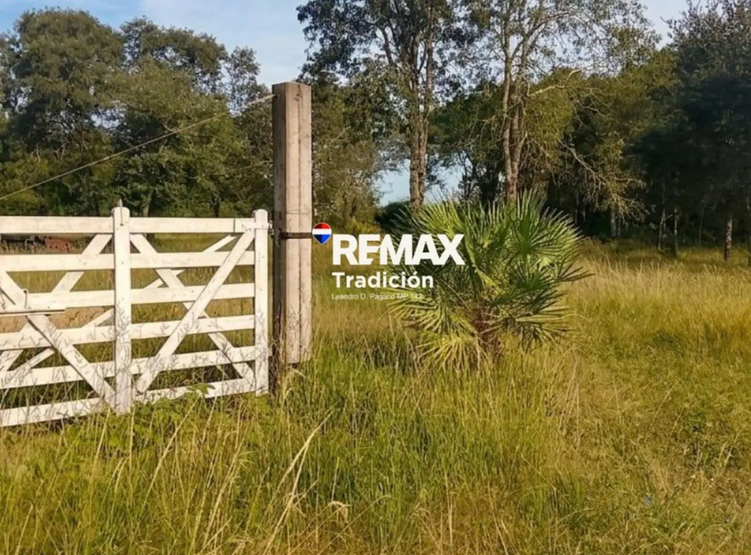 VENTA TERRENO 12.600 M2 COLONIA BENITEZ 5