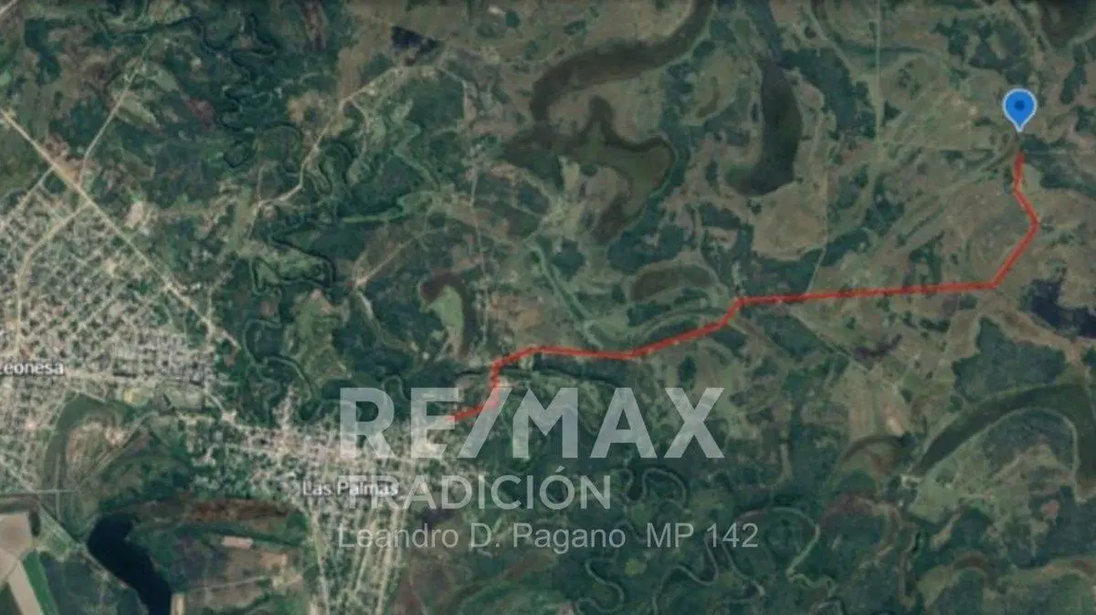 CAMPO GANADERO EN VENTA 99 HAS MONGAY, LAS PALMAS 3